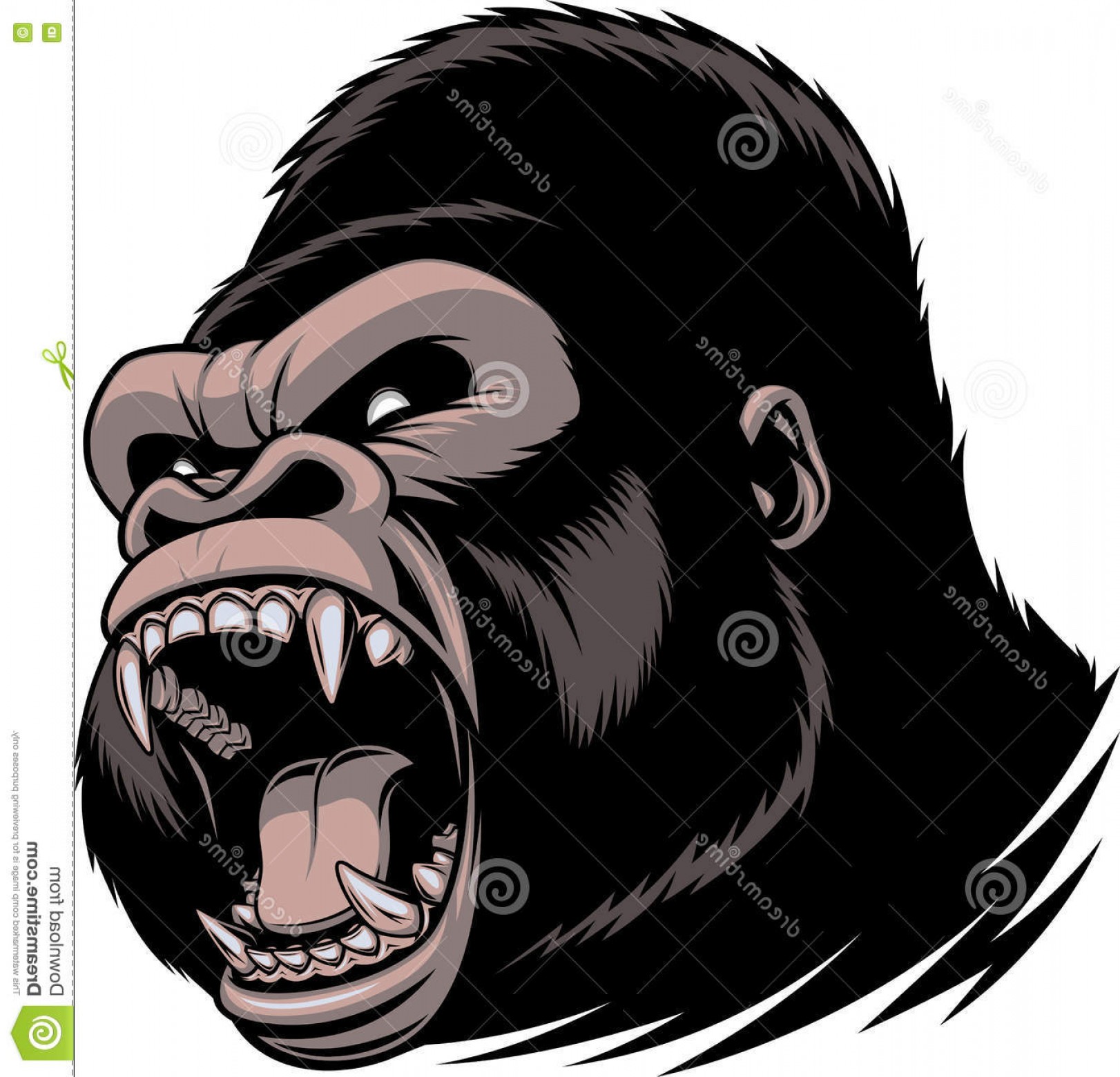 1622x1560 Stock Illustration Fierce Gorilla Head Vector Illustration Wild
