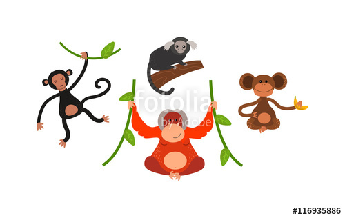 Cartoon Monkey Vector Illustration Monkey Animal And Jungle 500x316 Cartoon Monkey Vector Illustration Monkey Animal And Jungle