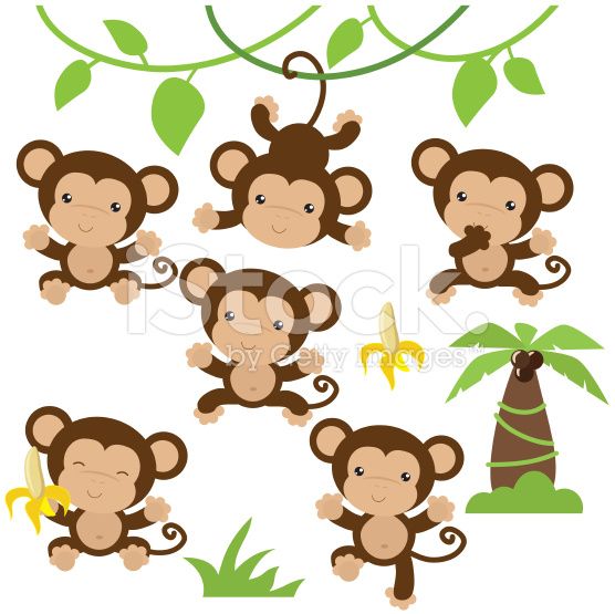556x555 Cute Monkey Vector Illustration Cute Monkey