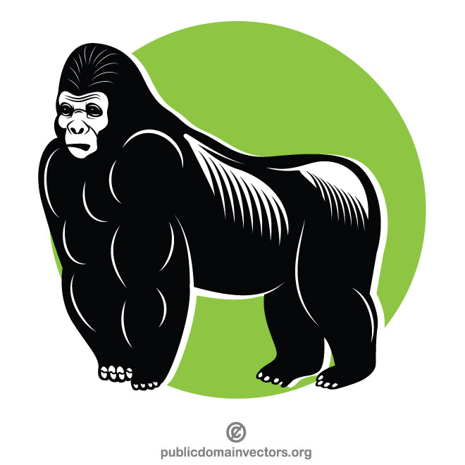 660x660 Gorilla Monkey Vector Clip