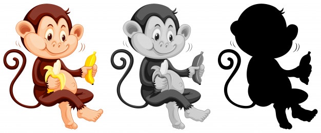 626x260 Monkey Vectors, Photos And Free Download