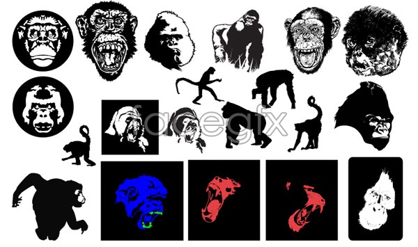Gorilla And Monkey Vector Over Millions Vectors, Stock Photos 600x355 Gorilla And Monkey Vector Over Millions Vectors, Stock Photos