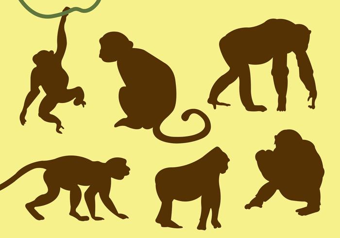 Monkey Free Vector Art 700x490 Monkey Free Vector Art