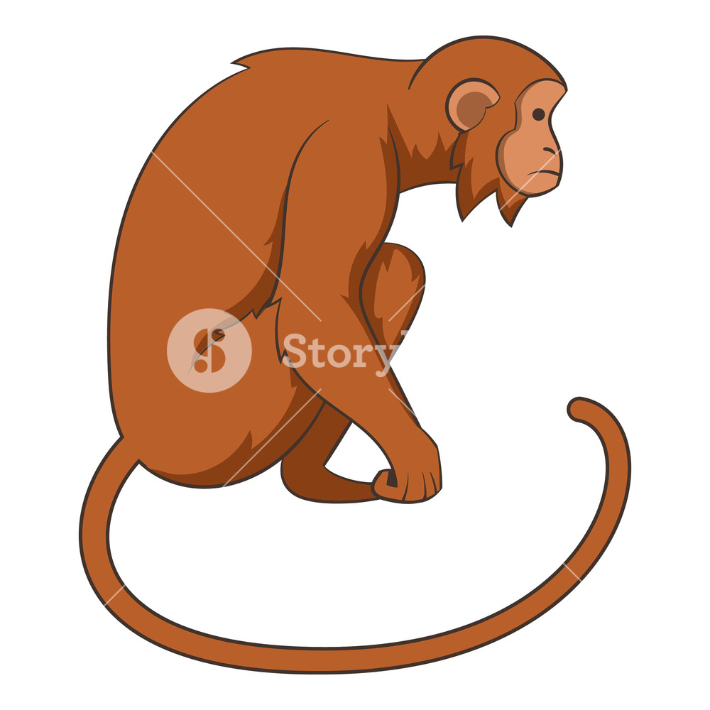 Monkey Icon Cartoon Illustration Of Monkey Vector Icon For Web 1000x1000 Monkey Icon Cartoon Illustration Of Monkey Vector Icon For Web