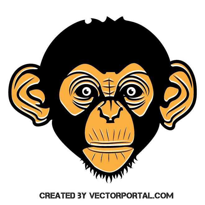 Monkey Vector Graphics Animal Vectors Free Vector Graphics 660x660 Monkey Vector Graphics Animal Vectors Free Vector Graphics
