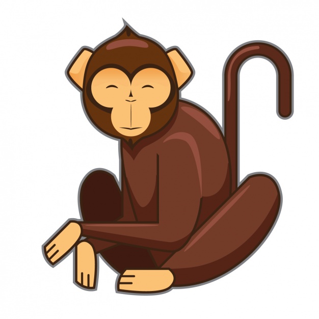 Coloured Monkey Design Vector Free Download 626x626 Coloured Monkey Design Vector Free Download