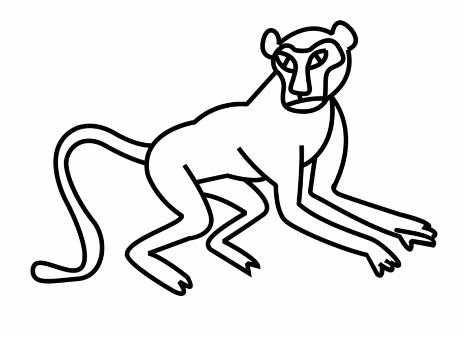 920x663 Vector Illustration Of Primate Monkey Ape