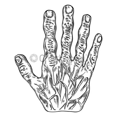 500x500 Scary Zombie Monster Hand, Hand Drawn Isolated On White Background