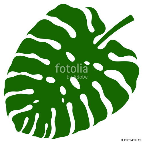 Monstera Leaf Vector Illustration Stock Image And Royalty Free 500x500 Monstera Leaf Vector Illustration Stock Image And Royalty Free