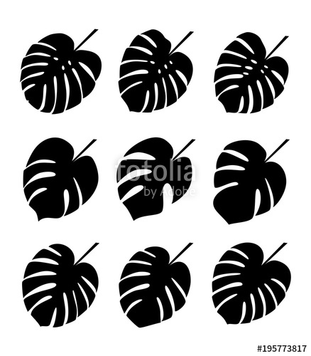 Tropical Plant Leaves Silhouettes Of Monstera Leaves Set 438x500 Tropical Plant Leaves Silhouettes Of Monstera Leaves Set