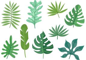 Monstera Free Vector Art 286x200 Monstera Free Vector Art