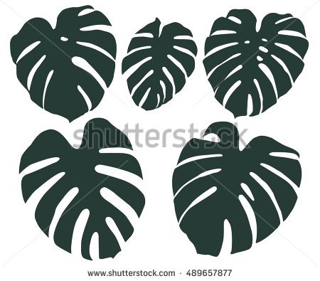 Monstera Leaf Silhouette 450x395 Monstera Leaf Silhouette