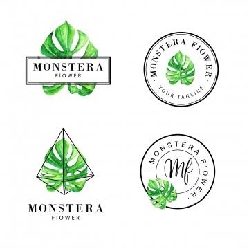 Monstera Png, Vector, And Clipart With Transparent Background 360x360 Monstera Png, Vector, And Clipart With Transparent Background