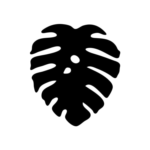 Monstera 600x600 Monstera