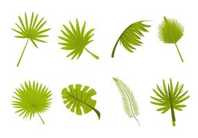 Monstera Free Vector Art 286x200 Monstera Free Vector Art