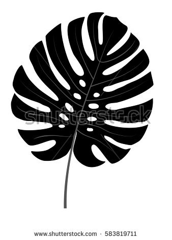 Monstera Leaf Silhouette 338x470 Monstera Leaf Silhouette