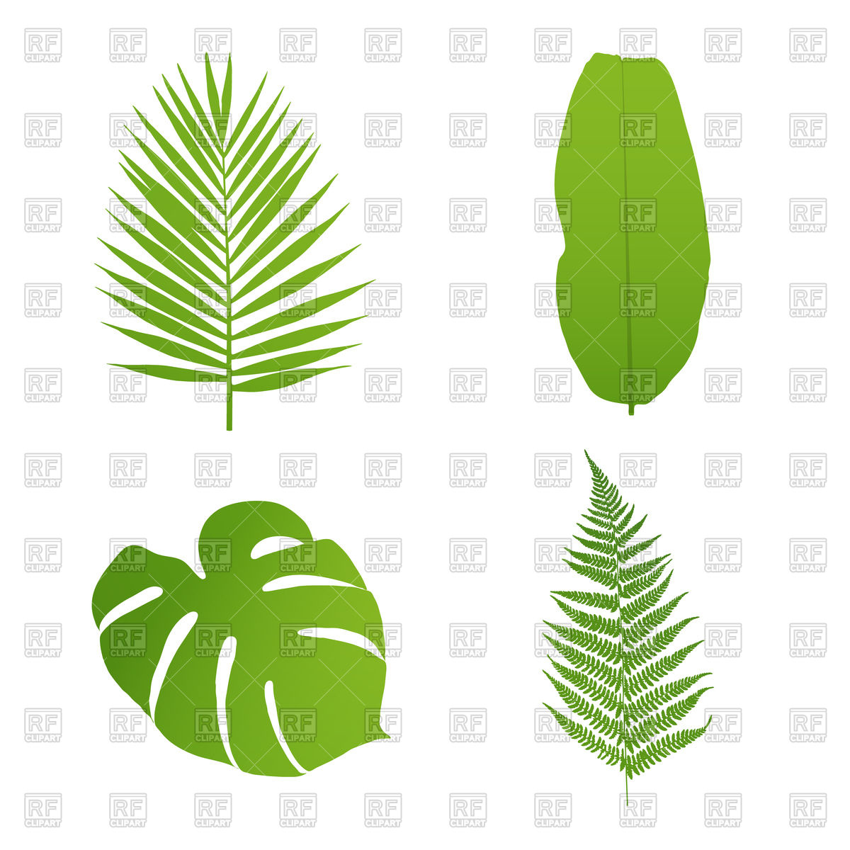 Set Of Tropical Leaves 1200x1200 Set Of Tropical Leaves