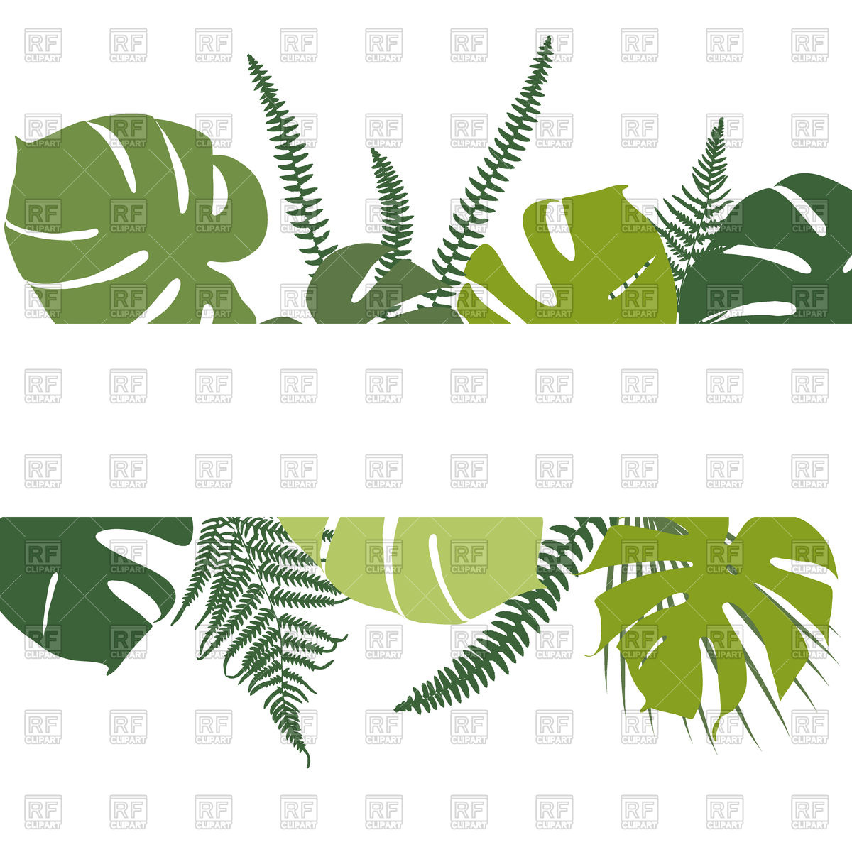 Tropical Background With Fern And Monstera Leaves Vector Image 1200x1200 Tropical Background With Fern And Monstera Leaves Vector Image