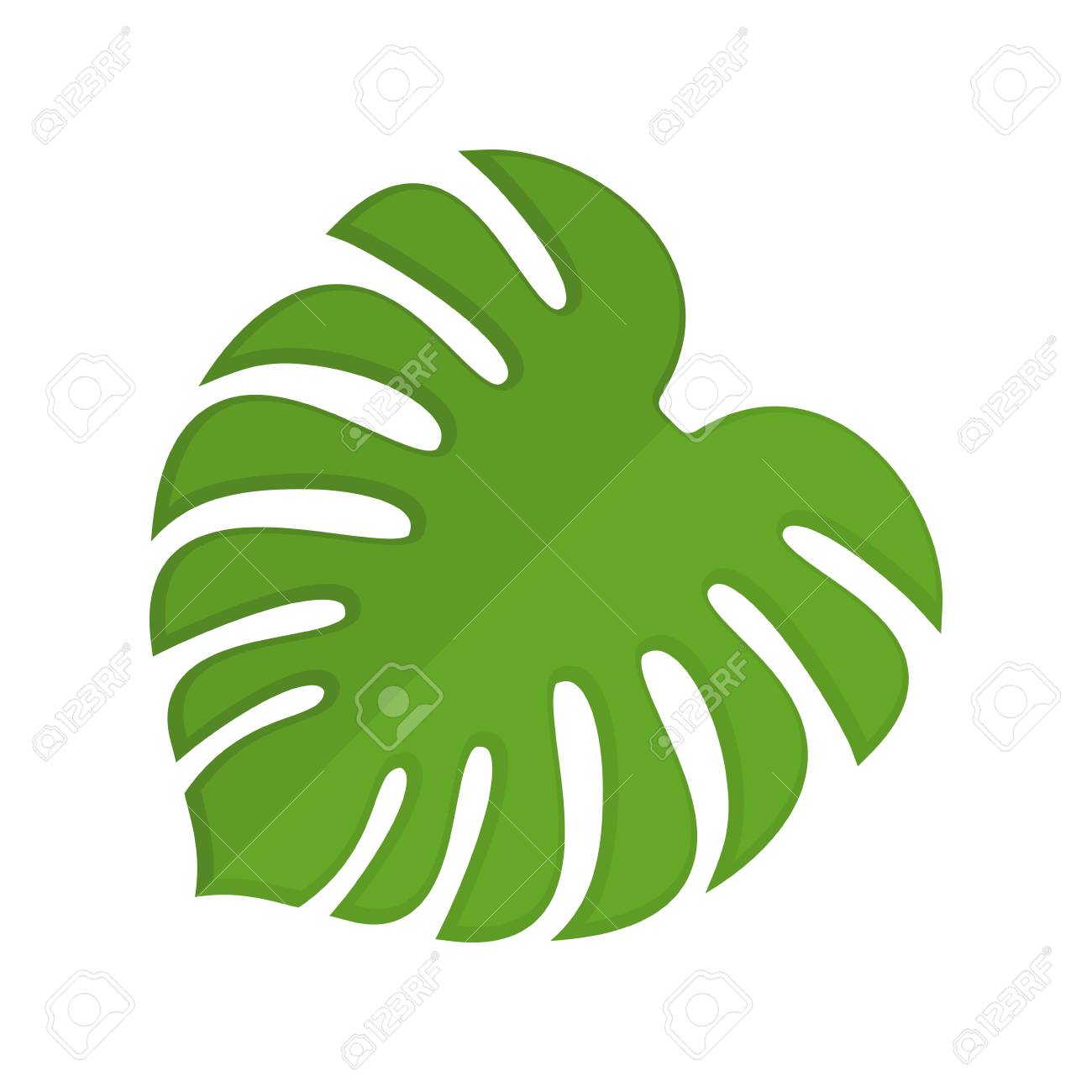 Tropical Clipart Monstera Leaf Images Collection For Free Download 1300x1300 Tropical Clipart Monstera Leaf Images Collection For Free Download