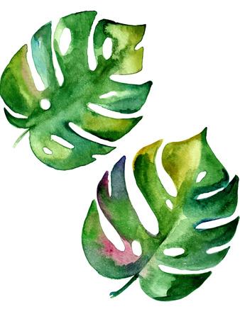 Vector Monstera Leaves Art Print 338x450 Vector Monstera Leaves Art Print