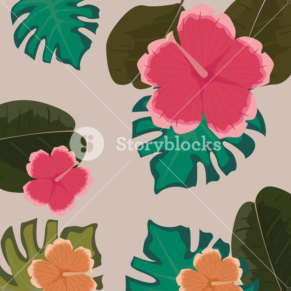 Tropical Flowers Floral Leaves Monstera Vector Illustration 1000x1000 Tropical Flowers Floral Leaves Monstera Vector Illustration