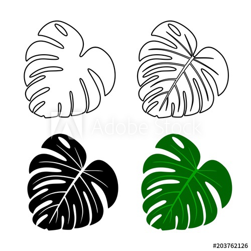 Green Leaf Monstera Tropical Leaves Silhouettes Of Monstera Leaf 500x500 Green Leaf Monstera Tropical Leaves Silhouettes Of Monstera Leaf