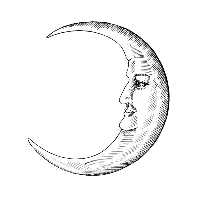 Moon Face Vector at Vectorified.com | Collection of Moon Face Vector ...