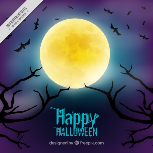 626x626 Moon Vectors, Photos And Free Download