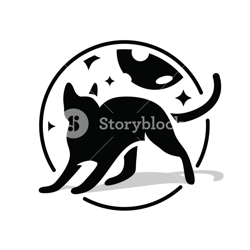 1000x1000 Black Cat In Circle