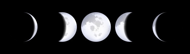 Moon Phases Vectors, Photos And Free Download 626x178 Moon Phases Vectors, Photos And Free Download