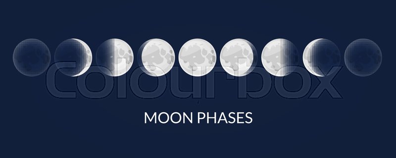 Moon Phases, Vector Illustration Stock Vector Colourbox 800x319 Moon Phases, Vector Illustration Stock Vector Colourbox
