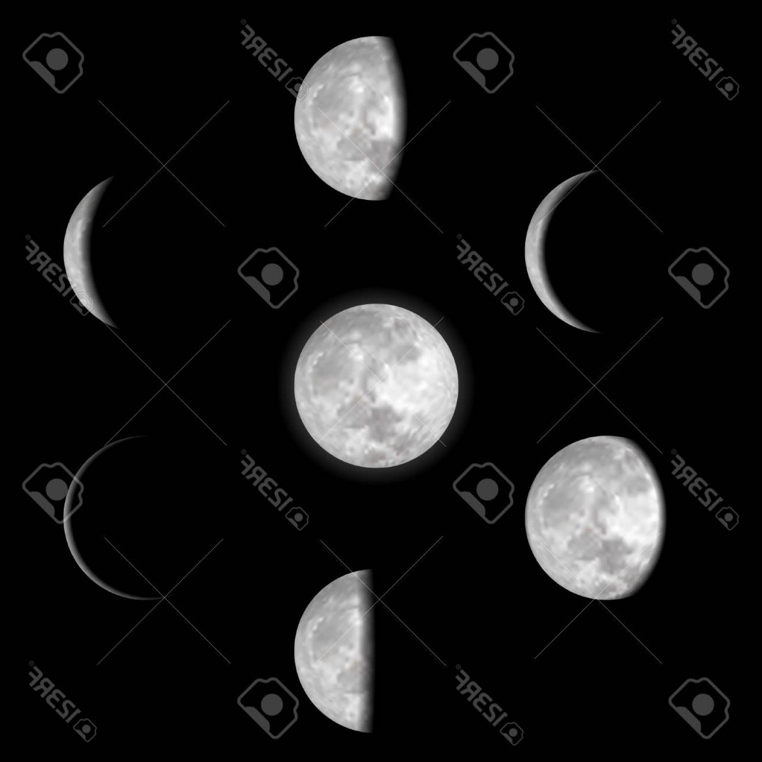 Photostock Vector Moon Phases Vector Studiogrfx 1560x1560 Photostock Vector Moon Phases Vector Studiogrfx