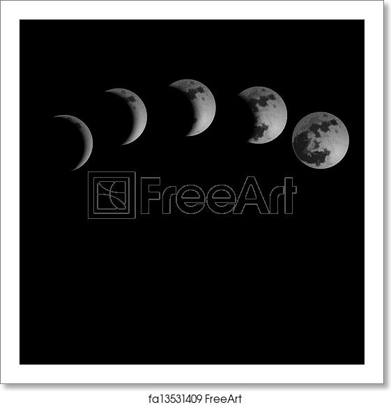 Free Art Print Of Moon Phases Moon Phases Vector Illustration 561x581 Free Art Print Of Moon Phases Moon Phases Vector Illustration