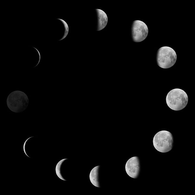 Moon Surface Vector at Vectorified.com | Collection of Moon Surface ...