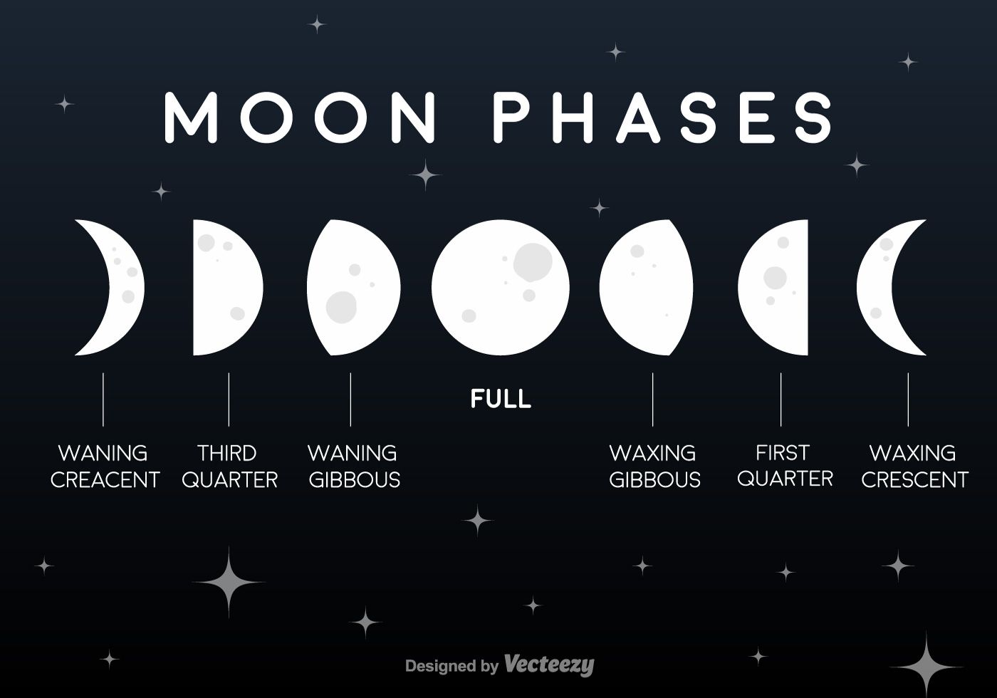 1400x980 Moon Phases Vector