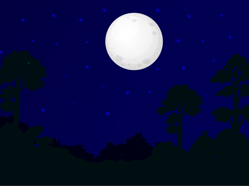 800x600 Moon Vector