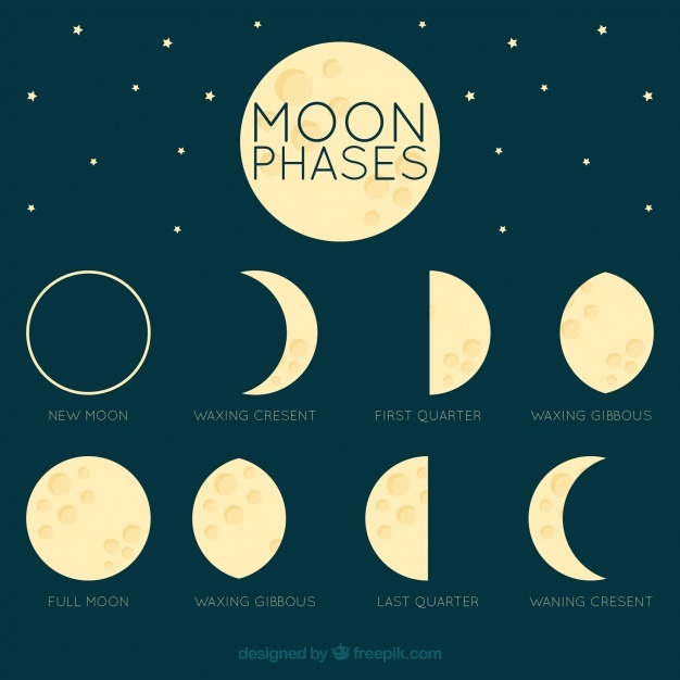 Crescent Moon Vectors, Photos And Free Download 626x626 Crescent Moon Vectors, Photos And Free Download