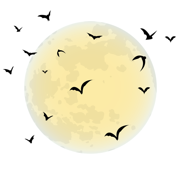 Moon Vector Png