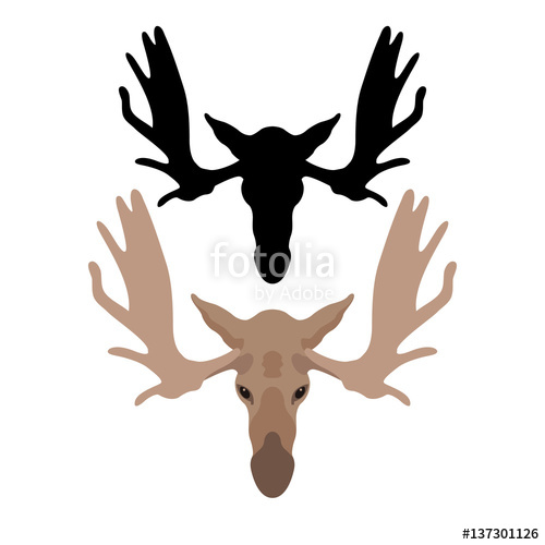500x500 Moose Head Vector Illustration Style Flat Stock Image And Royalty