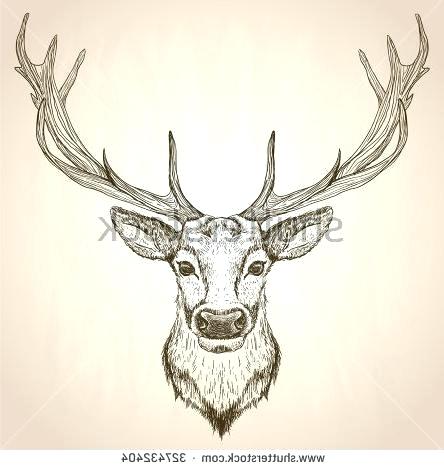 444x470 How To Draw A Moose Head