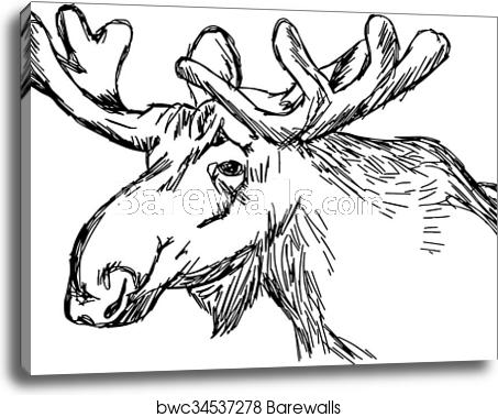 453x379 Illustration Vector Doodle Hand Drawn Of Sketch Moose Head