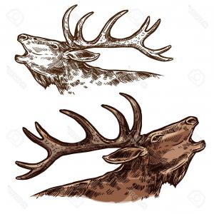 Monotonic Of Two Elks Vector Hoodamath 300x300 Monotonic Of Two Elks Vector Hoodamath
