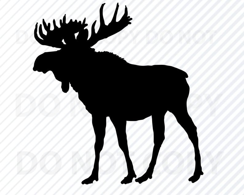 Moose Clipart Vector For Free Download And Use Images 794x635 Moose Clipart Vector For Free Download And Use Images
