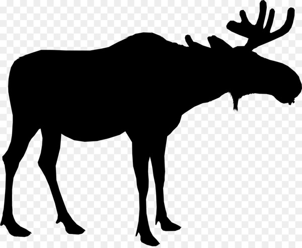 600x493 Moose Silhouette Deer Vector Graphics Portable Network Graphics