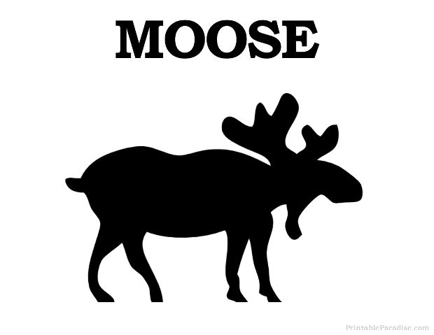 620x479 Moose Clipart Silhouette For Free Download And Use Images