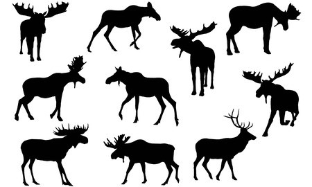 450x270 Moose Silhouette Vector Illustration Royalty Free Vector Graphics