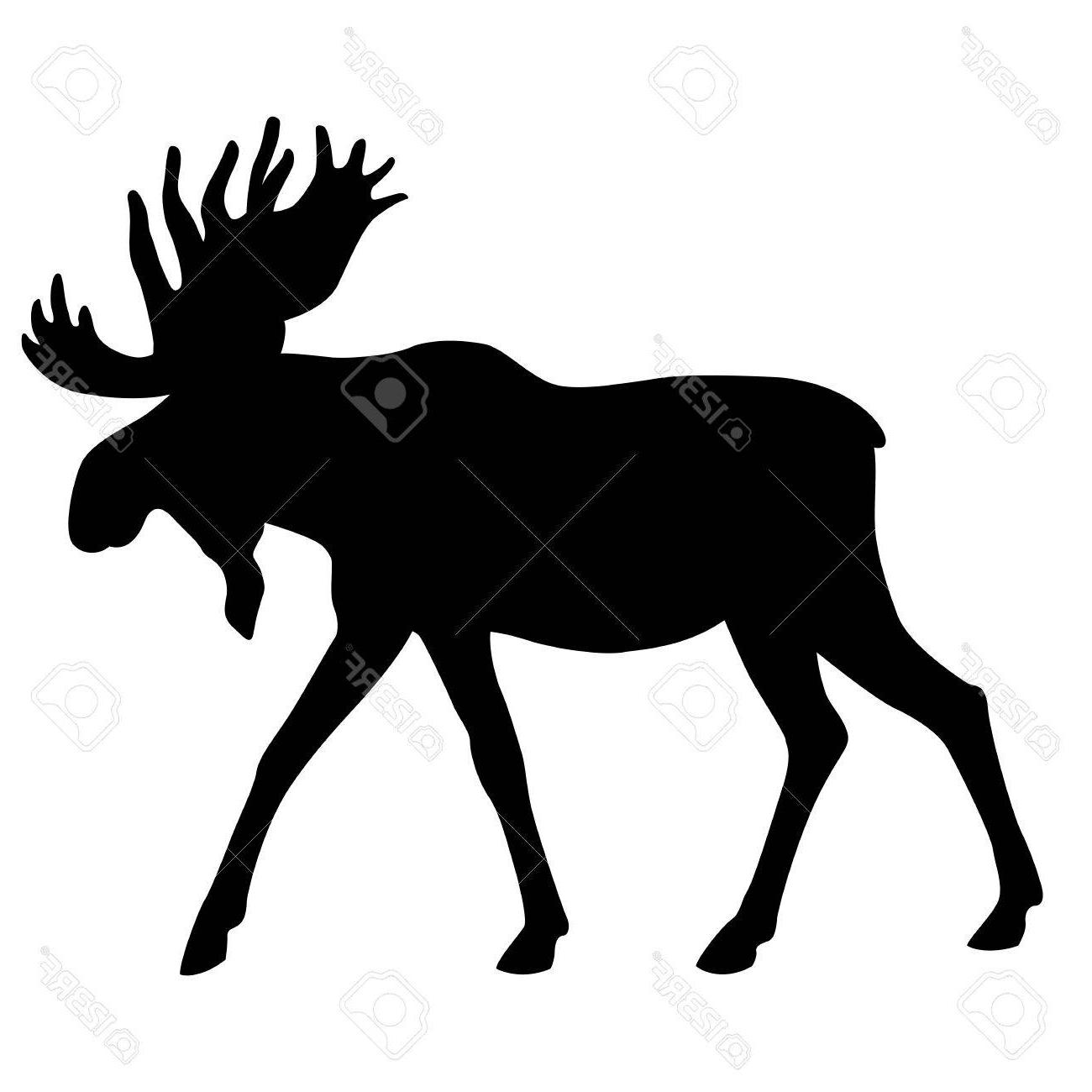 1300x1300 Best Free Moose Silhouette Vector Free Vector Images Design