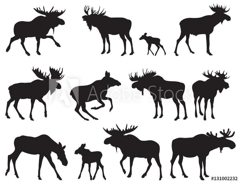 1000x765 Photo Art Print Set Of Moose Silhouettes Vector Images