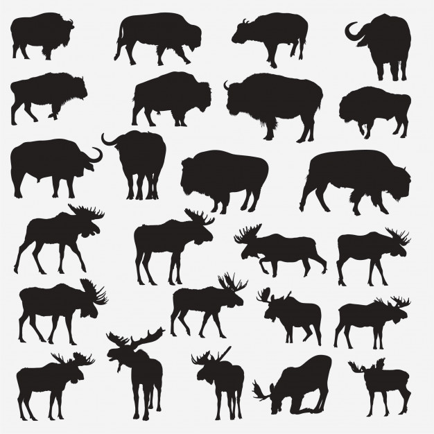 626x626 Buffalo Moose Silhouettes Vector Premium Download