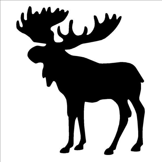 570x570 Huge Collection Of 'moose Silhouette Images' Download More Than